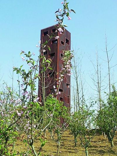 20米高的鸟儿“豪宅”。