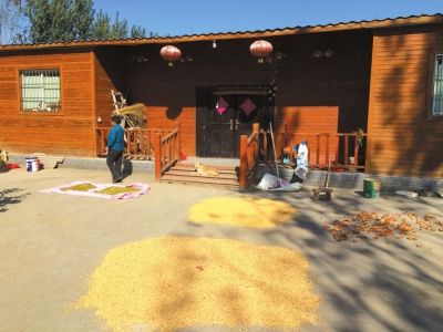 位于黄河滩的郑州高新农业园区里，一户人家过起了都市农场主的生活。新华社发