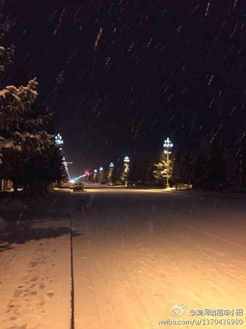 昨天，黑龙江漠河迎来降雪。（来源：微博）