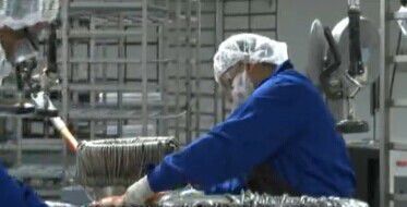 美华裔渔商将亚洲鲤“变废为宝”速冻后远销中国