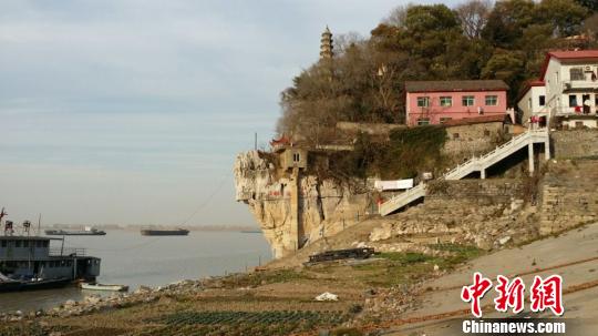 鄱阳湖水位下降裸露河堤“变身”菜地（图）
